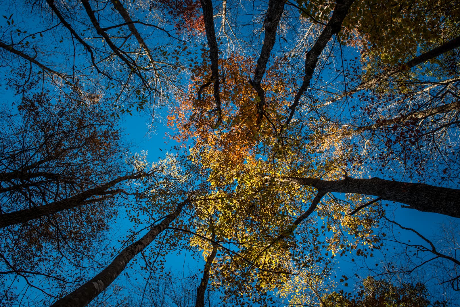 Photograph by Howard Ignatius