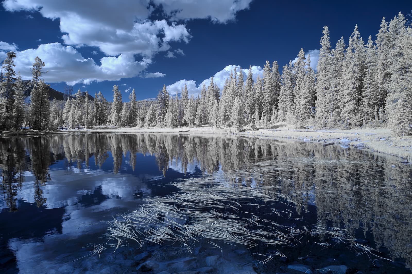 Mirror Lake In IR