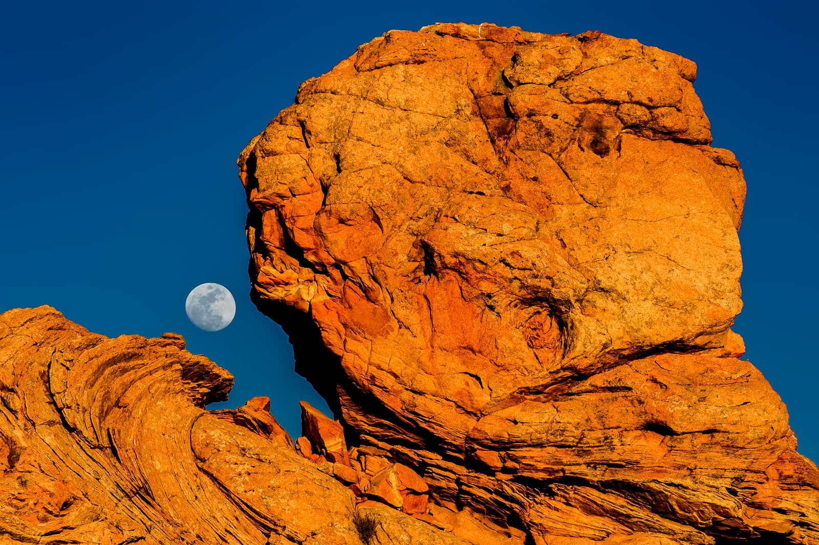 Monster That Swallowed The Moon