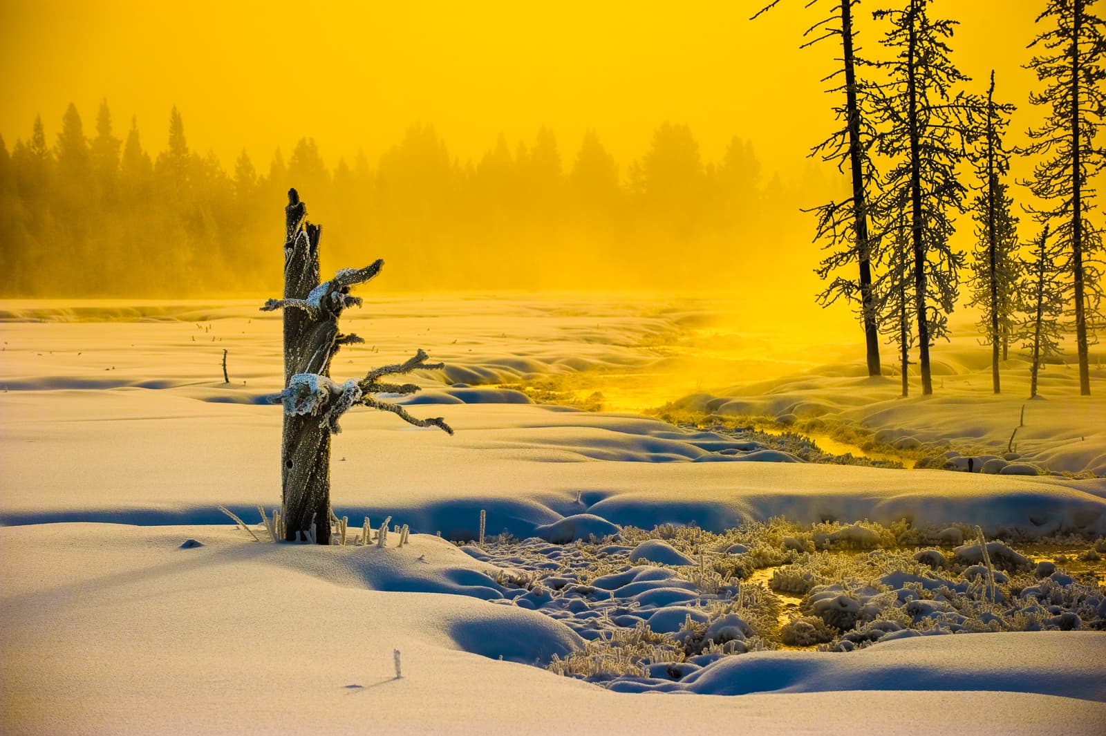 Yellowstone Light